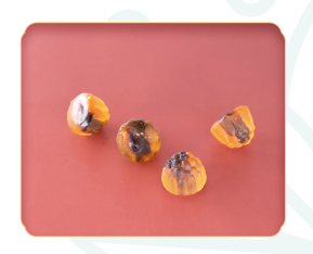 1645839869618503.png 知乎2.16-3.png