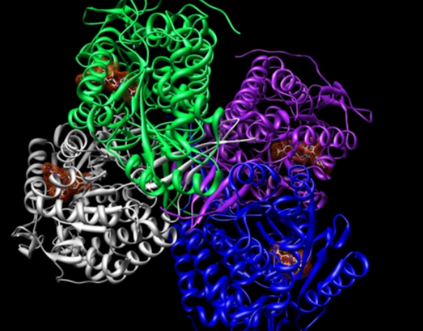 1646101944819954.png 軟文2.24-4.png