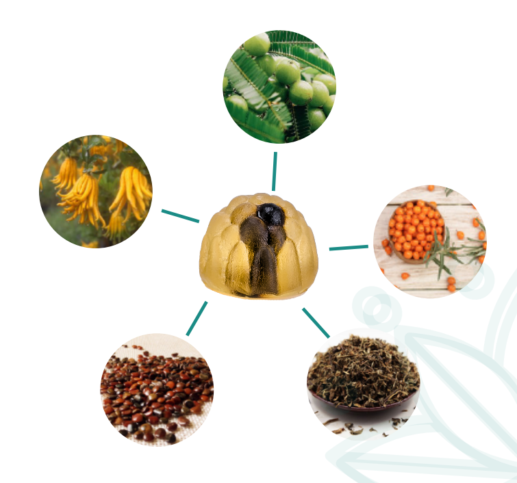 1646102028569113.png 軟文2.24-7.png